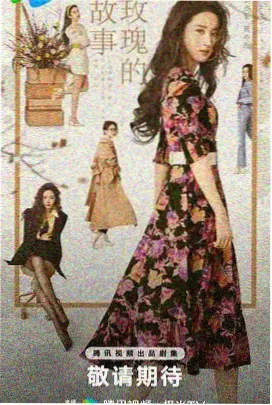 樱桃影视 阿甘正传 经典励志